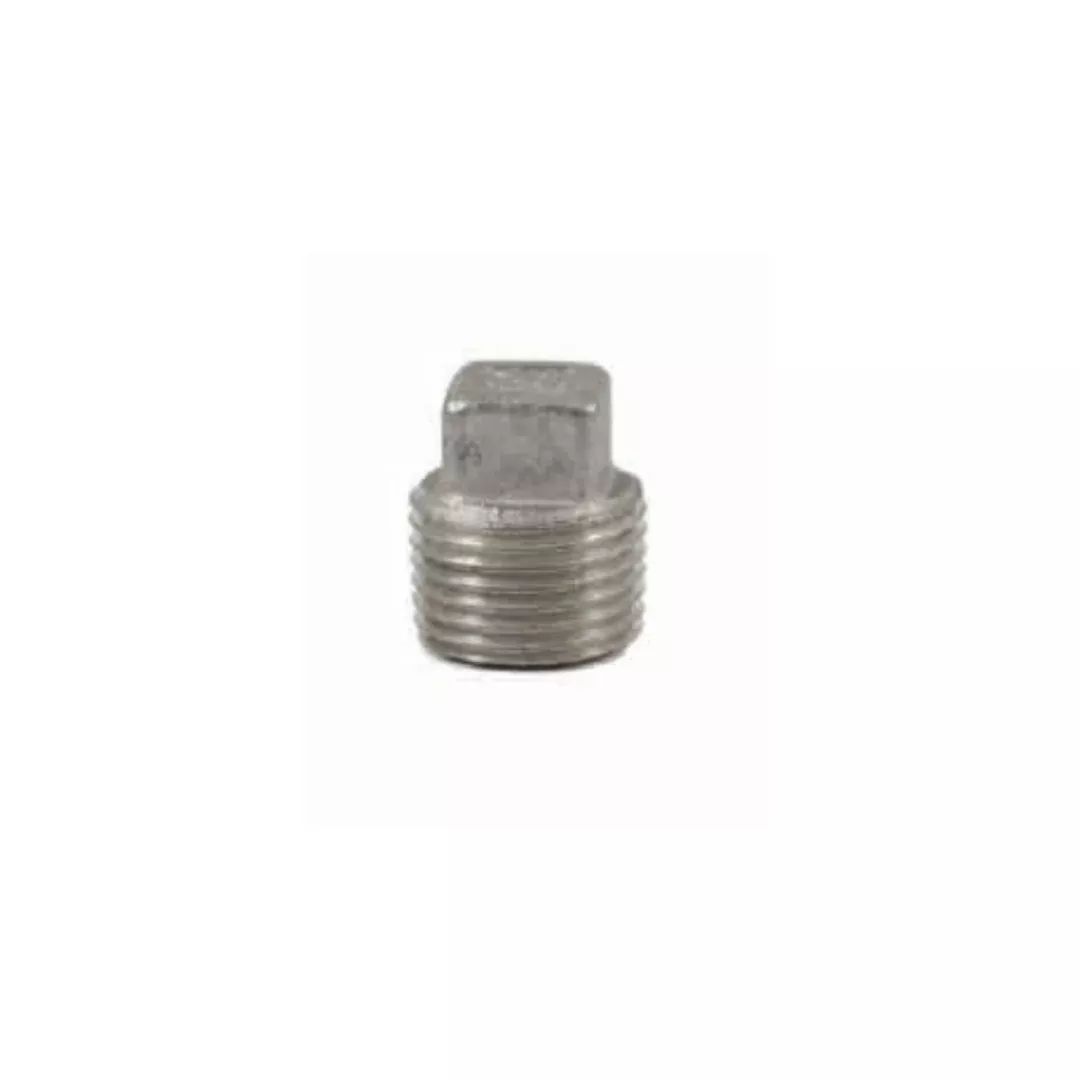1-1/4 SS PLUG (316)